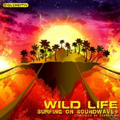 WILD LIFE SURFING ON SOUNDWAVES ALLABY TRIPTYCH CD