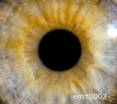EMT 0003 GREGOR SAMSA MIA BRANNAN LANE BEATSYSTEM CD