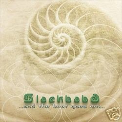 SLACKBABA AND THE BEAT GOES ON DOWNTEMPO AMBIENT CD
