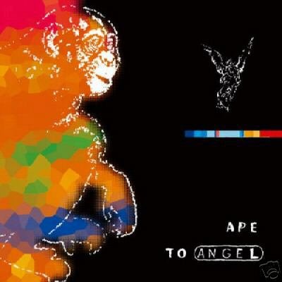 PITCH BLACK APE TO ANGEL SUPERB DUB DOWNTEMPO OOP CD