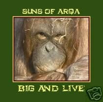 SUNS OF ARQA BIG & LIVE SUPERB TRIBAL DUB AMBIENT CD