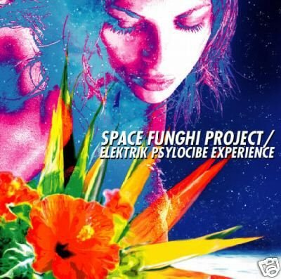 ELECTRIC PSYCLOCIBE EXPERIENCE SPACE FUNGHI PROJECT CD