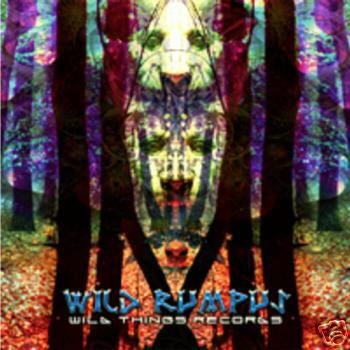 WILD RUMPUS HOODWINK REALITY GRID ERROR CORRECTIVE CD