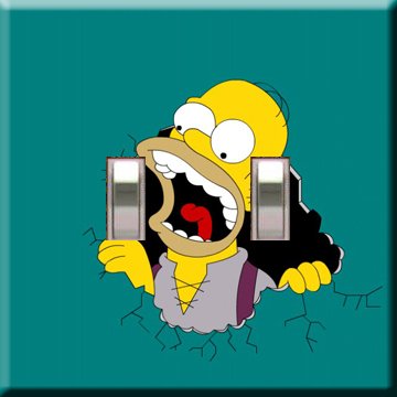 Homer Simpson Double Switchplate Cover