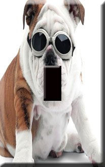 I'm Cool Bulldog Decorative Single Switchplate Cover