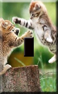 Playful Kittens Handcrafted Single Switchplate Cover