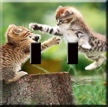 Playful Kittens Handcrafted Double Switchplate Cover