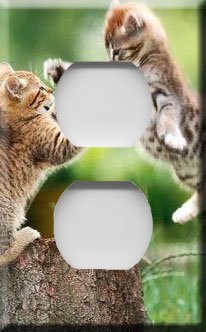 Playful Kittens Handcrafted Outlet Cover