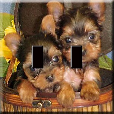 Yorkie Puppies Handcrafted Single Switchplate Cover