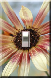 Daisy Handcrafted Single Switchplate Cover