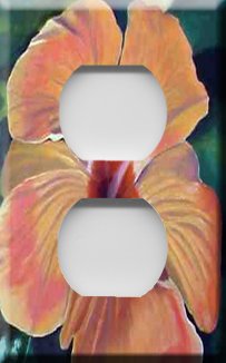 Hibiscus Painting Handcrafted Outlet Cover