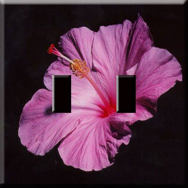 Purple Hibiscus Handcrafted Double Switchplate Cover