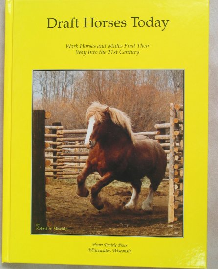 Draft Horses Today