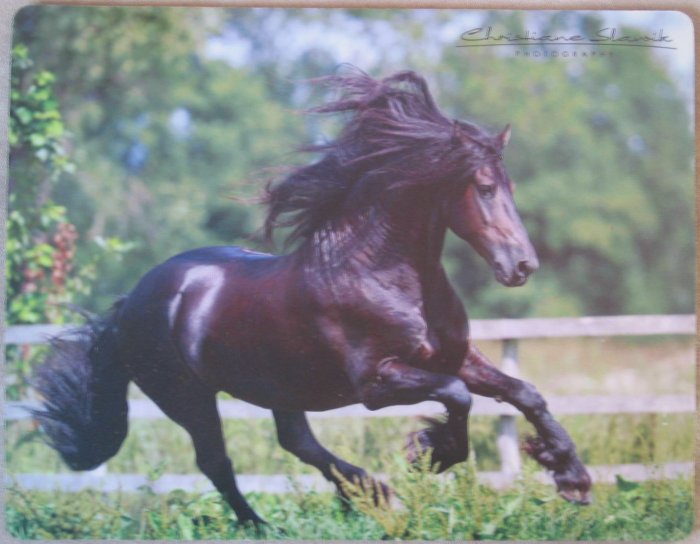 Black Friesian Mouse Pad