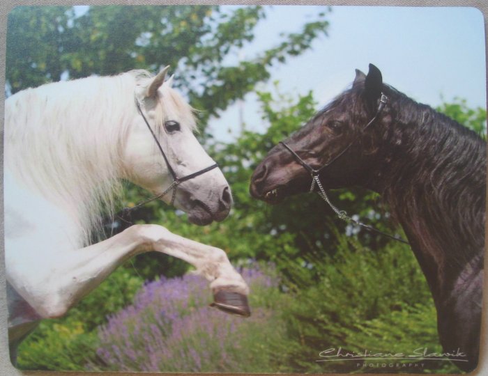 Andalusian Horses Mouse Pad