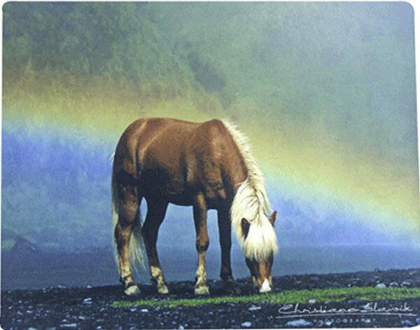 Icelandic Horse Mouse Pad