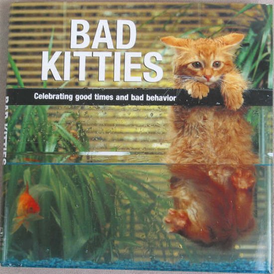 Bad Kitties Hard Cover Book