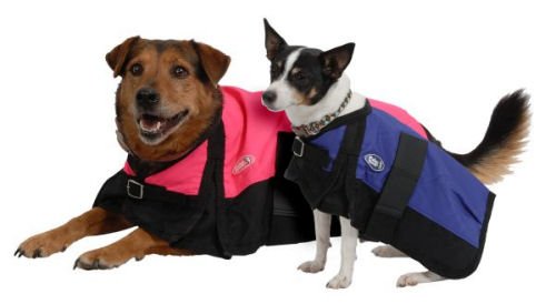 Medium 600 Denier Waterproof Dog Sheet - Royal Blue