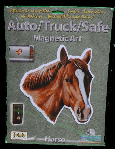 Chestnut Horse Auto/ Truck/Safe Magnetic Art