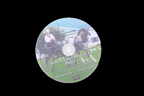 Teach Your Horse to Drive DVD