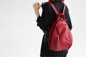 Multi-use Charming korean Style Backpack