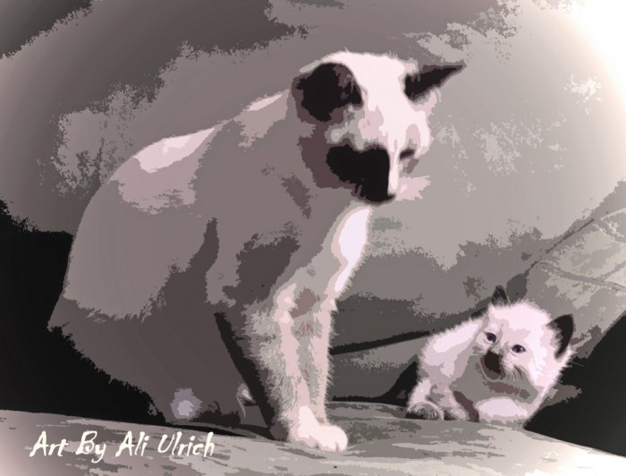 Looking Up to Big Sister