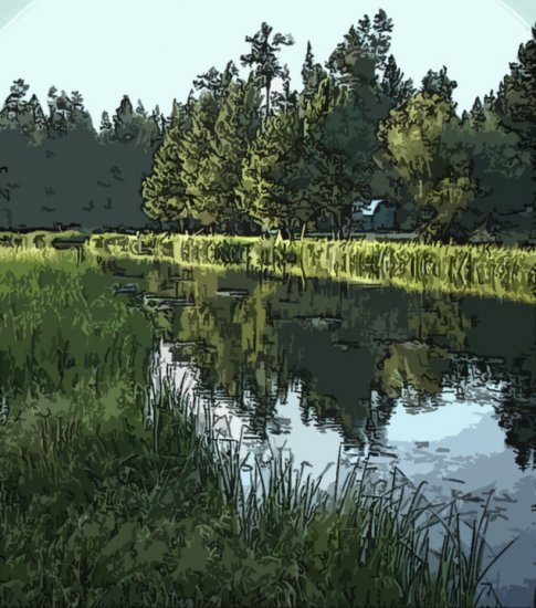 Canal in the Summer
