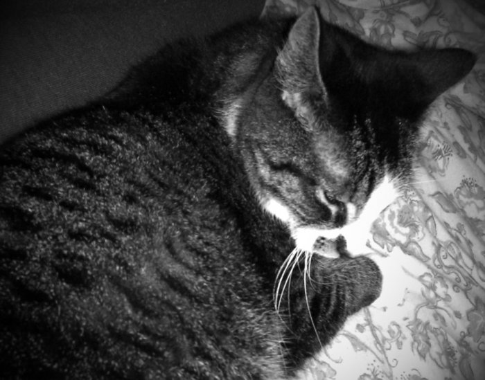 Don't Bother Me