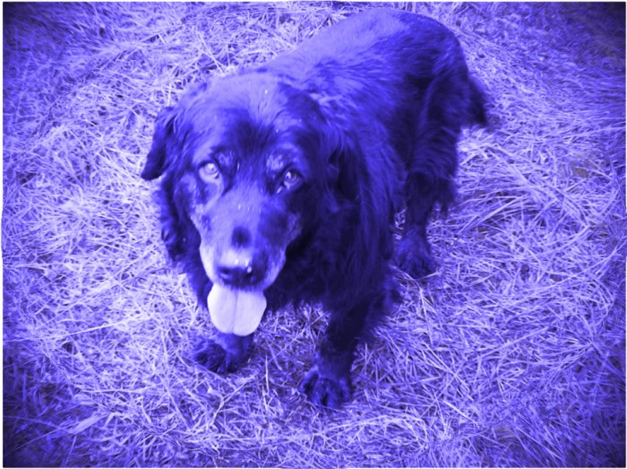 Sam