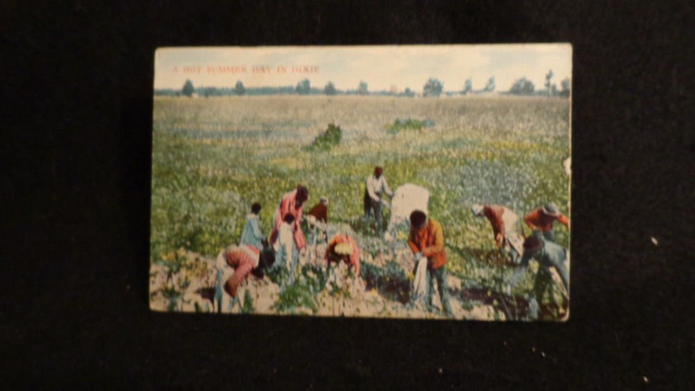 Black Americana Postcard "A Hot Summer Day in Dixie" Picking Cotton 1911