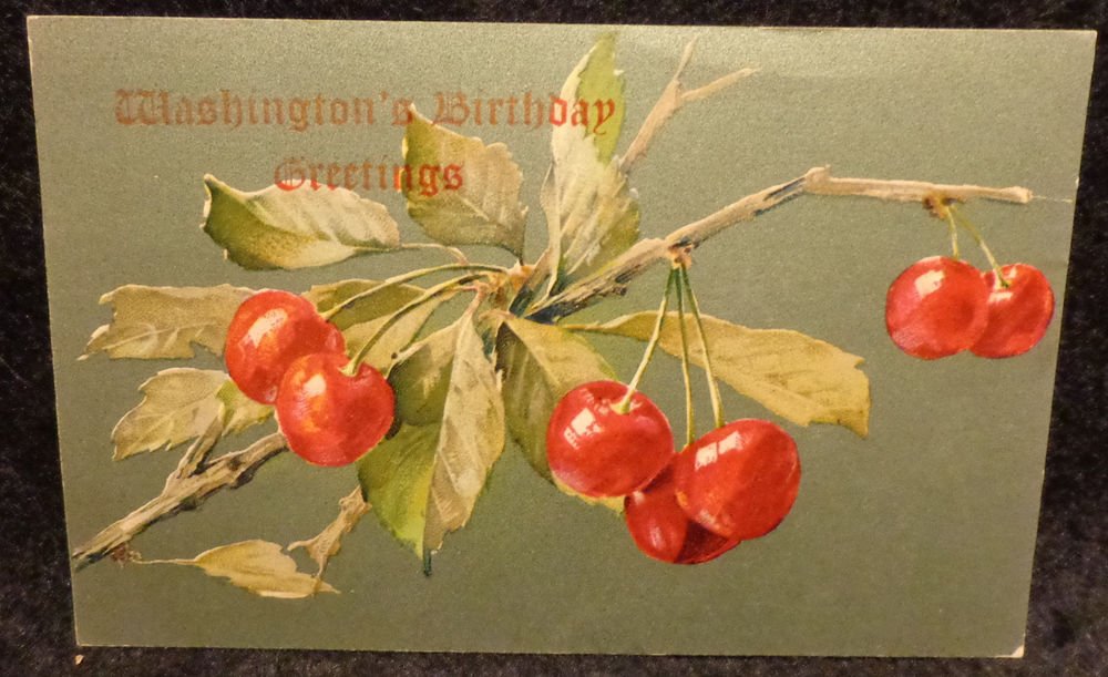 Vintage George Washington Birthday Postcard Divided Back Used 1908