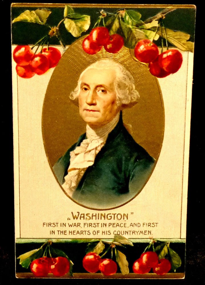 Vintage George Washington Birthday Postcard Divided Back Used Embossed
