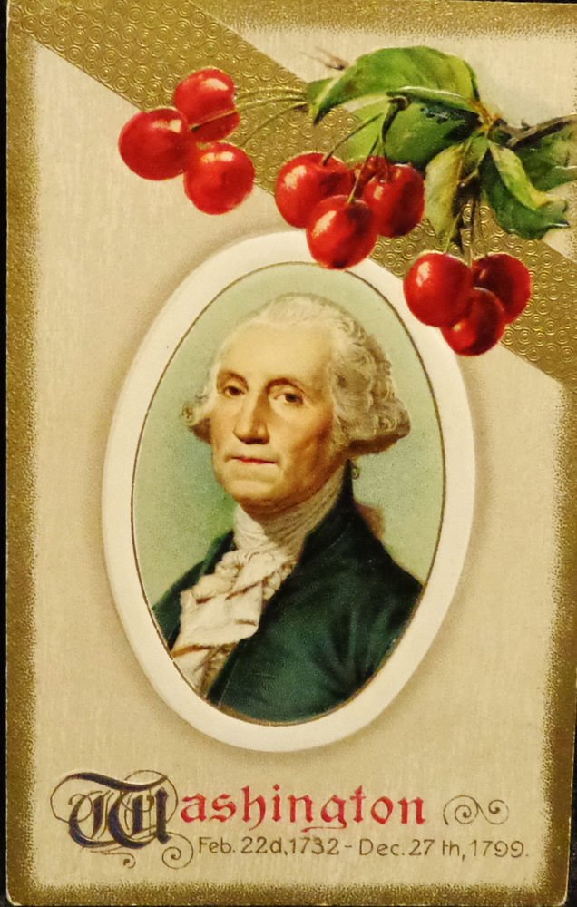 Vintage George Washington Birthday Postcard Divided Back Unused Embossed