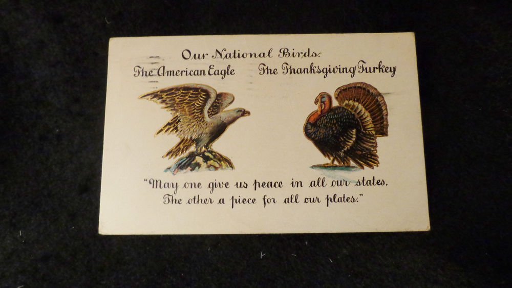 Vintage Thanksgiving Postcard Embossed Design Undivided Back Postmarked 1906