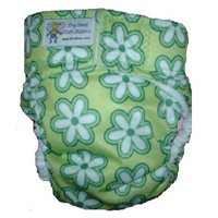 Drybees Green Retro Pocket Diaper (Large) - RM 60