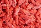 Wolfberry Extract Lycium chinense Mill P.E.