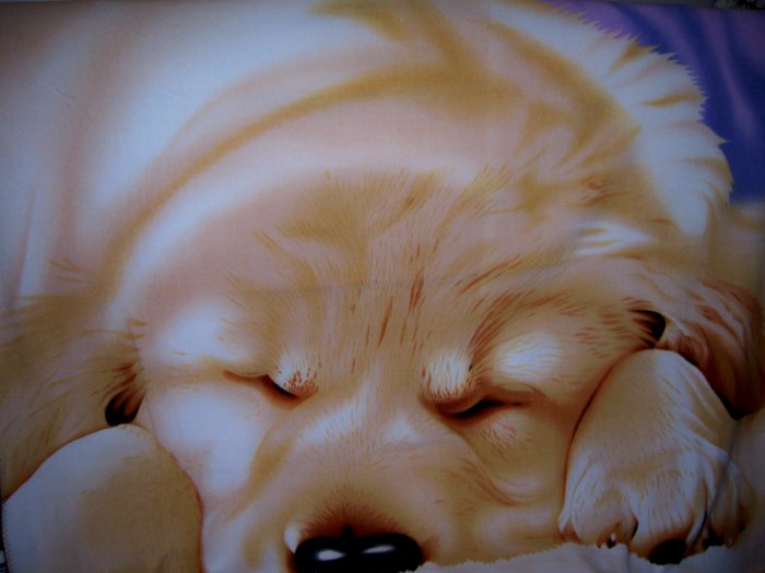 New Fleece Puppy Throw