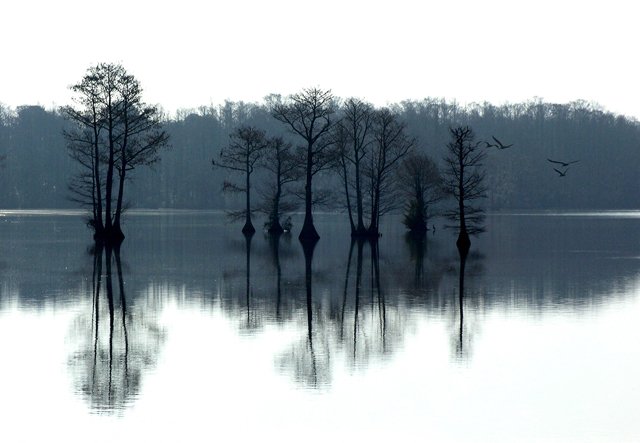 Reflection