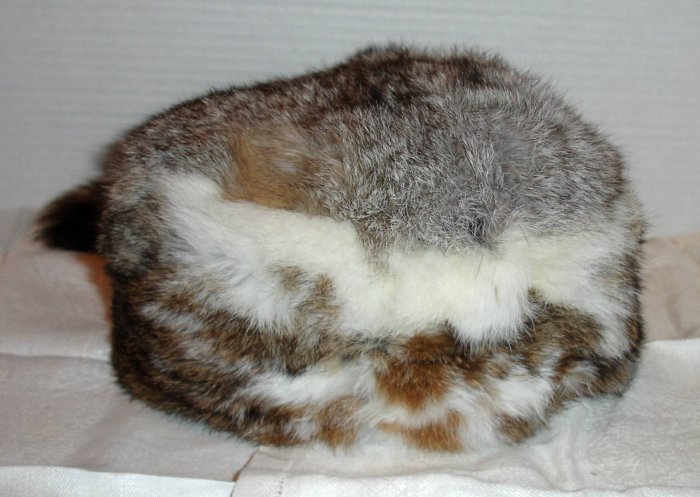 Rabbit fur cap with Raccoon tail