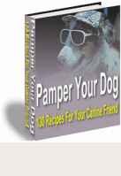 Pamper Your Dog - 130 Recipes For Your Canine Friend