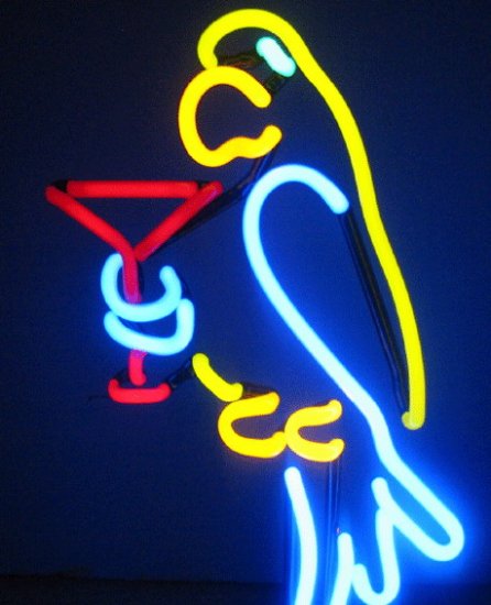 Parrot w Margarita