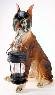 1 Case Solar Garden Lantern Light BoXeR DoG