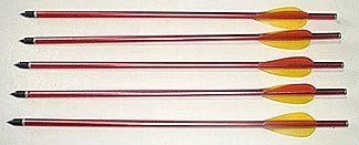 1Pack - 5 Bolts Arrows - FREE Shipping
