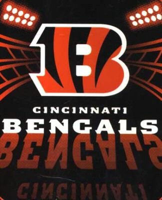 50" x 60" Cincinnati Bengals Fleece Blanket