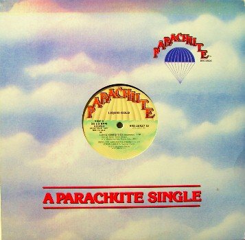 Liquid Gold - Dance Yourself Dizzy / Instrumental - 12" Vinyl LP Record - Promo - Disco Soul R&B