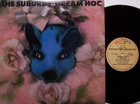 Suburbs - Dream Hog - Vinyl LP Record - Twin Tone Label + Poster - Rock