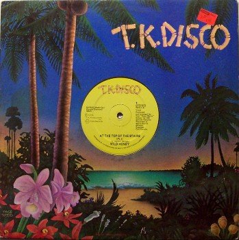 Wild Honey - At The Top Of The Stairs - Vinyl 12" LP Record - 1976 R&B Disco