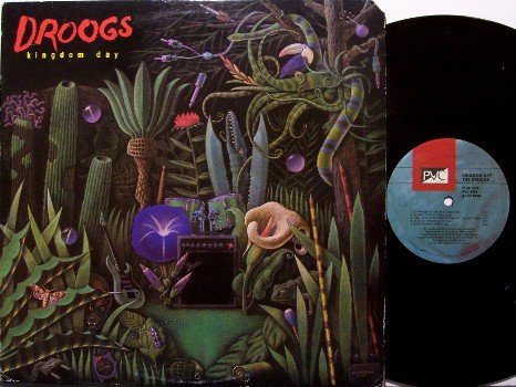 Droogs - Kingdom Day - Vinyl LP Record - Rock