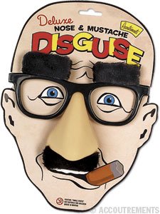 Classic Glasses and Nose Disguise