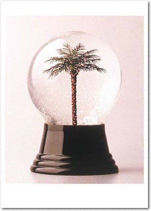 Palm Tree Snowdome Holiday Card